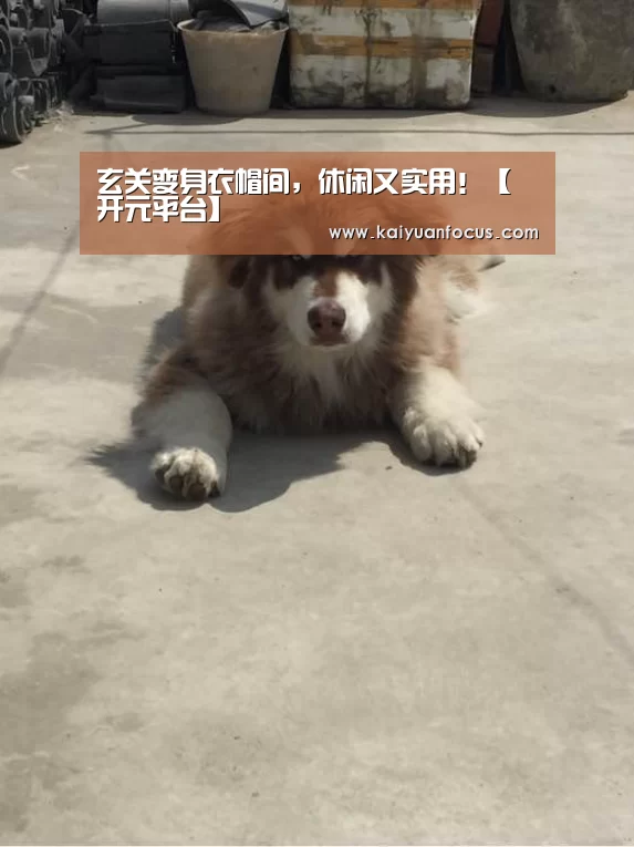 开元赛程