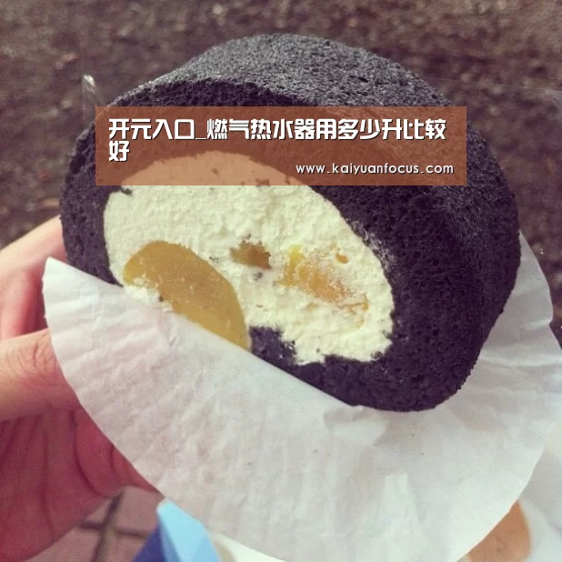 开元入口_燃气热水器用多少升比较好(图2) 开元平台
