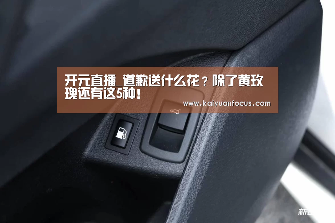开元直播_道歉送什么花?除了黄玫瑰还有这5种!(图1) 开元赛程