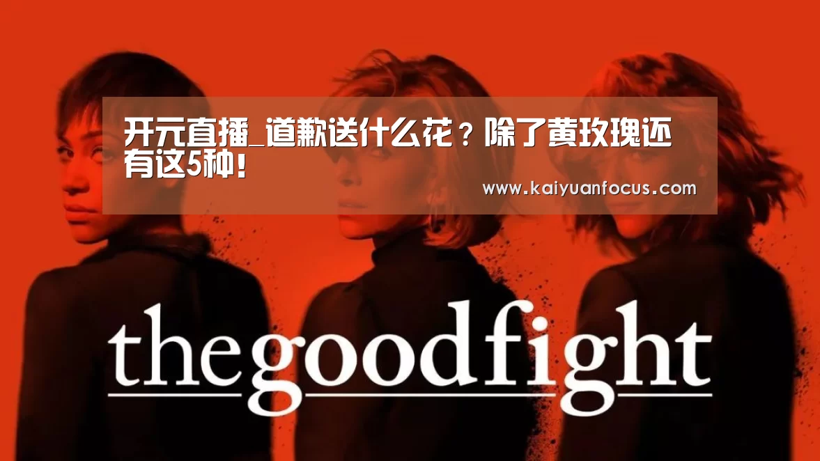 开元直播_道歉送什么花?除了黄玫瑰还有这5种!(图3) 开元赛程