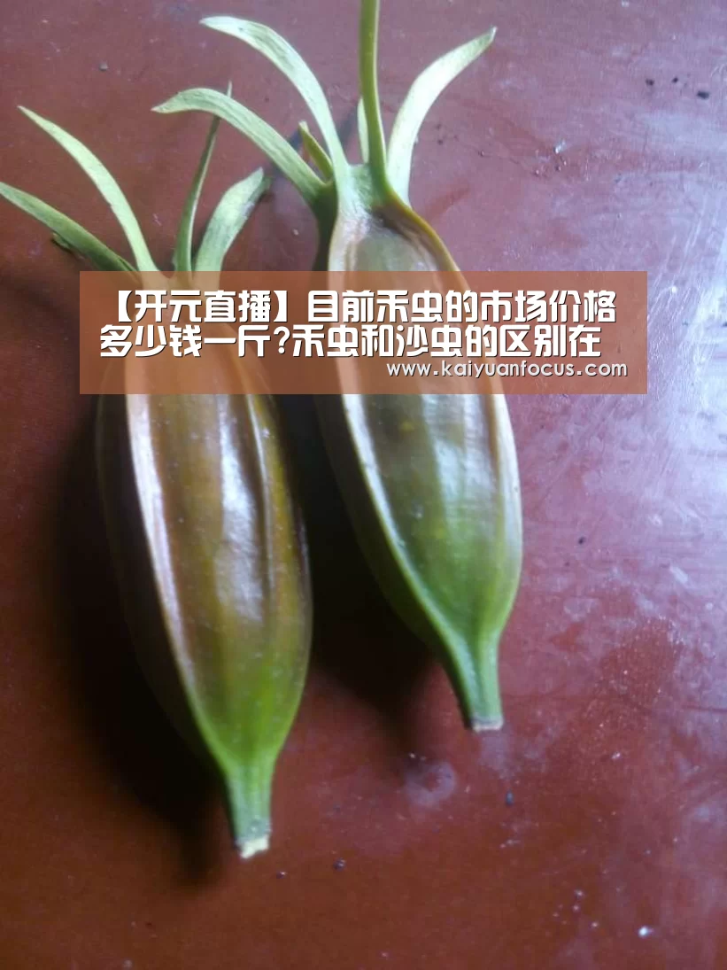 开元平台
