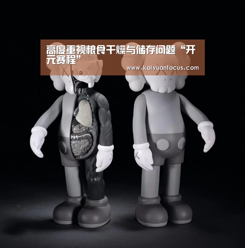 高度重视粮食干燥与储存问题“开元赛程”(图1) 开元直播