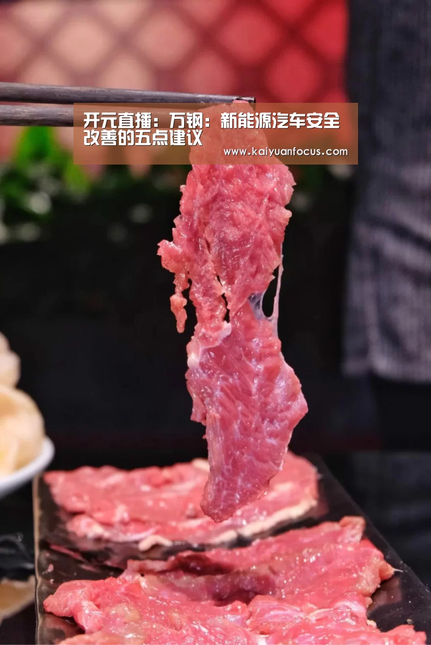 开元直播:万钢:新能源汽车安全改善的五点建议(图2) 开元赛程