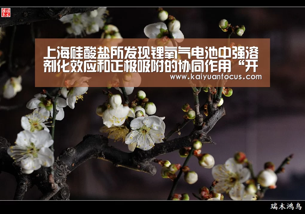 开元直播